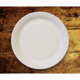 Plato economy compostable 23 cm pack 15u