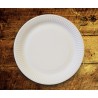 Plato economy compostable 23 cm pack 50u